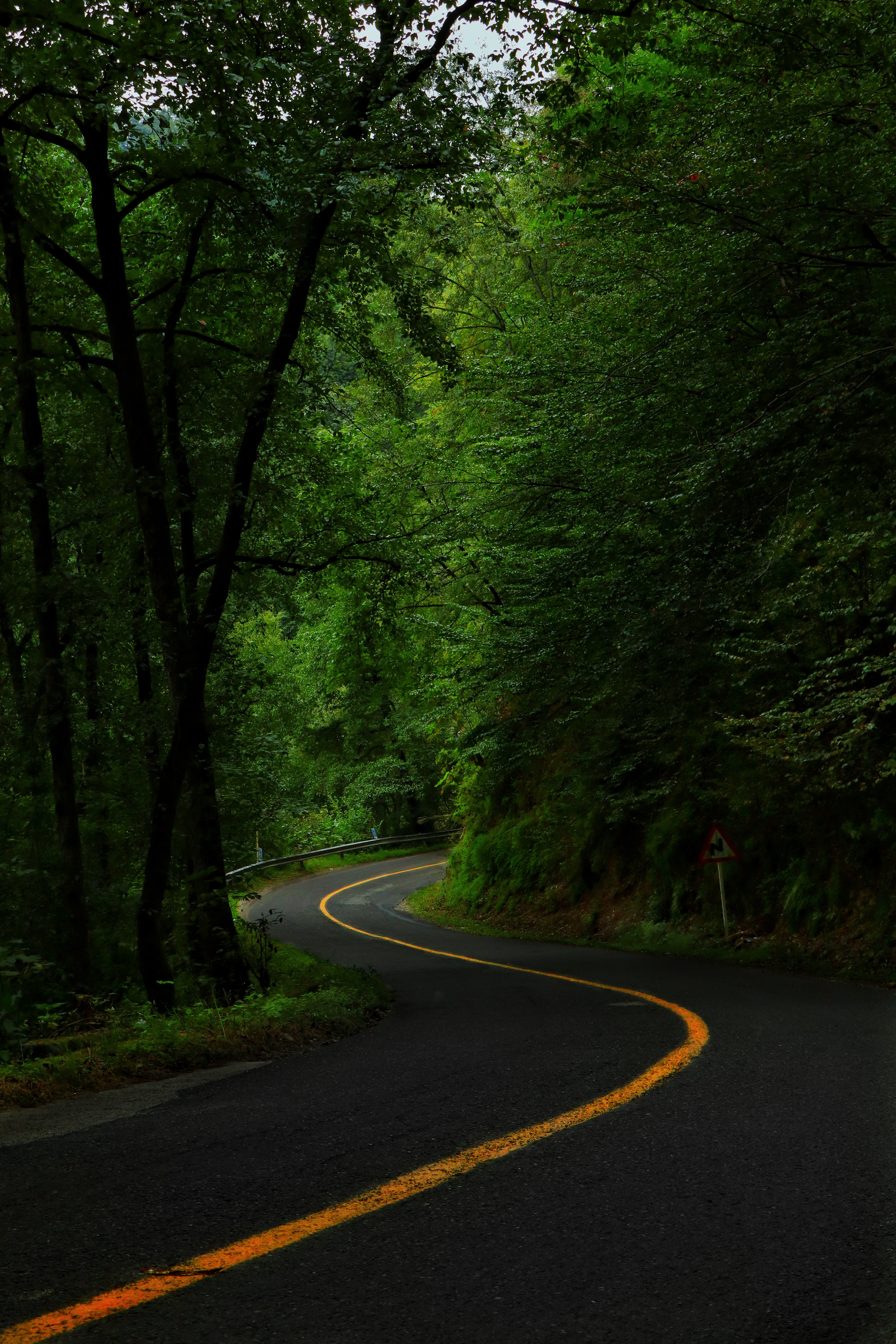 Day 15: Ramsar to Tehran