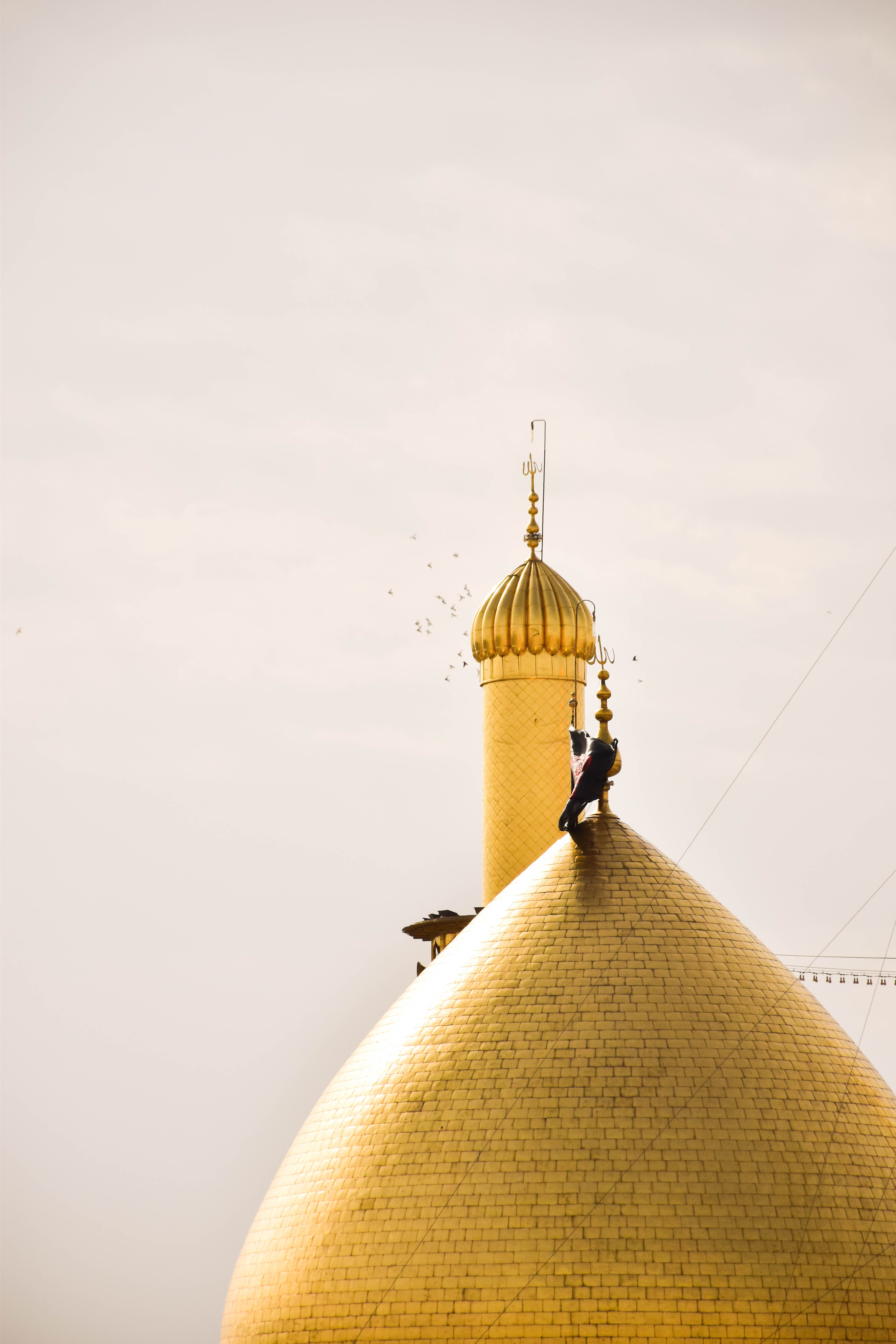 Day 14: Kashan to Tehran Day 14: Kashan to Tehran